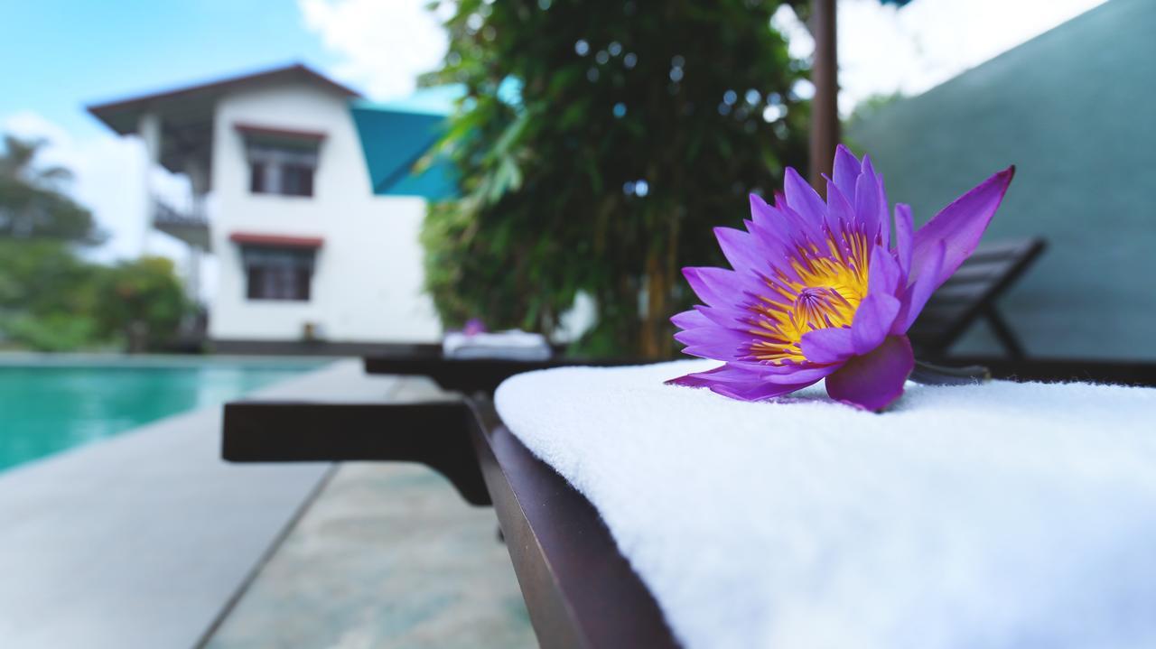 Kaminrich Cottage Matara Kültér fotó
